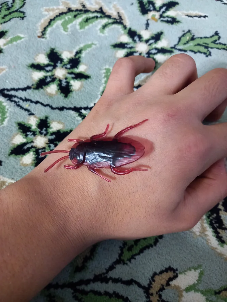 بسته آموزشی کودکان با حشرات بسته 5 عددی سوسک