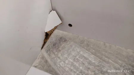 کتابخانه رومیزی مدل کاکتوس