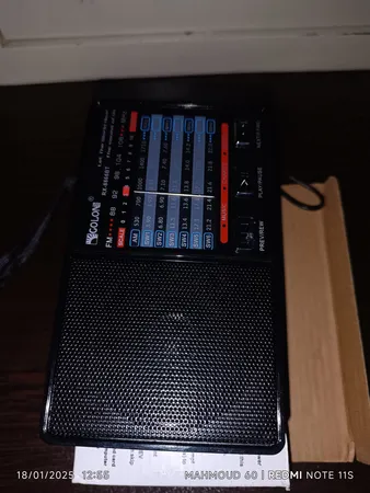 رادیو گولون مدل RX-8866BT