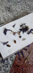 تجریه خرید گل گاوزبان ممتاز سرمد - 100 گرم