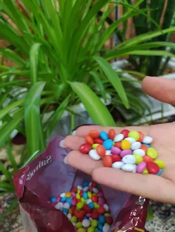 اسمارتیز ریز سایرو -500گرم