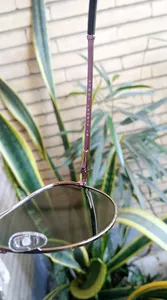 تجریه خرید عینک آفتابی مردانه آلبرت وگ مدل JS8540C07-P149 Avantgarde Visionary