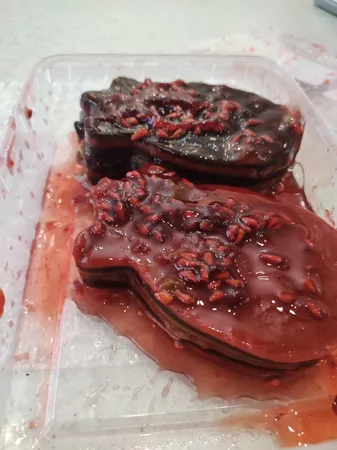 ترشک لواشک انار با سس انار - 450 گرم