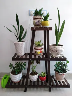 استند گلدان مدل YZ2