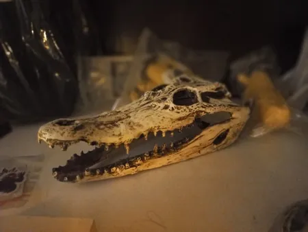 جمجمه تزیینی آکواریوم کد MS