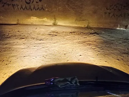 لامپ هالوژن خودرو استیکو مدل H1 YELLOW بسته دو عددی