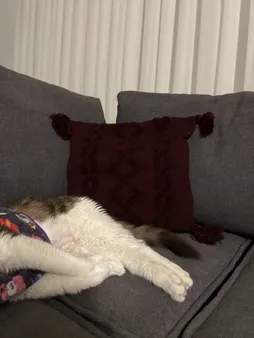 کاور کوسن مدل پانچدوزی ایران سایز 40×40 سانتی متر