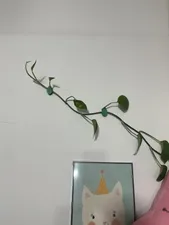 تجریه خرید گیره مدل پتوس s300 بسته 10 عددی