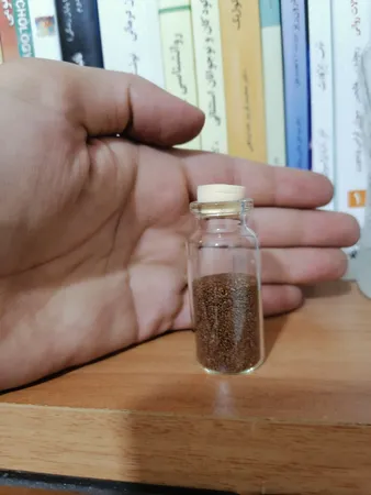 بذر پلنت آکواریوم مدل چمن ریز کوبایی