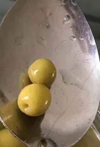 تجریه خرید زیتون شور جنگلی بلیتا - 1100 گرم