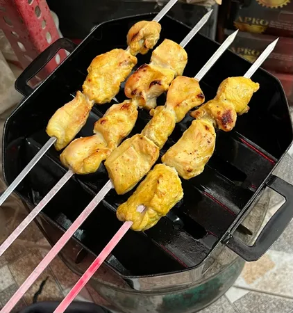 کباب پز کیوبی مدل روگازی