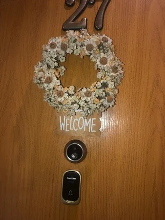 زنگ بی سیم آرازلاین مدل C27