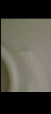 دستگاه تصفیه کننده آب آکوآ اسپرینگ مدل UF - SF4800  کد 01 به همراه فیلتر تصفیه آب