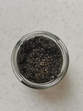 خاویار بری میراث خاویار کاسپین ایرانیان - 50 گرم