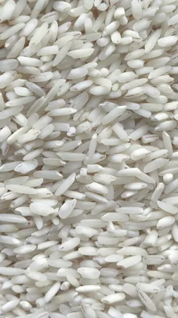 برنج هاشمی خوشپخت گیلان - 10 کیلوگرم