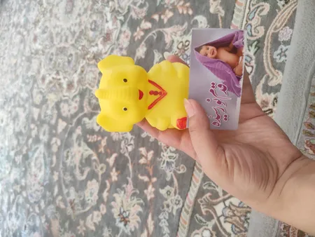 گهواره نوزاد شادی مدل مخمل طرح باغ وحش
