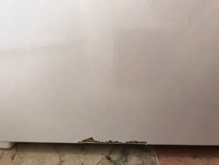 میز تحریر انتخاب اول مدل TO-297