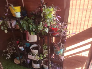 تجریه خرید استند گل و گلدان مدل gol6