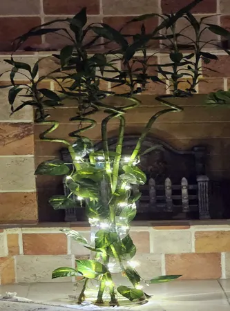 ریسه ال ای دی طرح برگ پتوس طول 2 متر