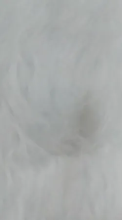 پادری مدل BZ3 کد BRN2021 سایز180*90 سانتی متر