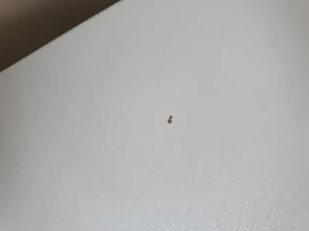 میز و صندلی تحریر سپهر یاس مدل 002