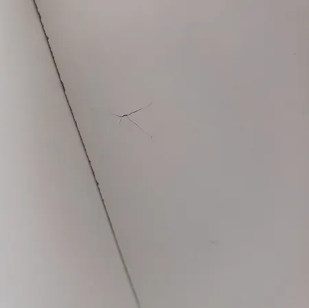 کتابخانه مدل Sj1169