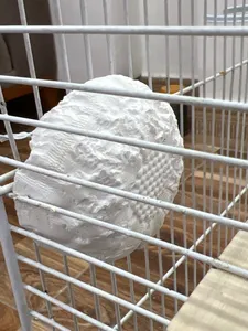 تجریه خرید سنگ کلسیم پرنده زوریچ کد 0112 وزن 80 گرم