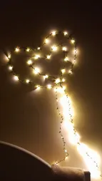 ریسه ال ای دی طرح برگ طول 5 متر