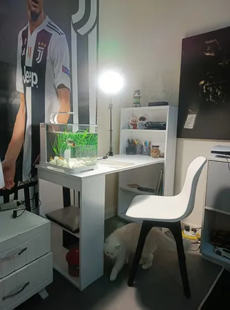 میز تحریر مدل mor-1006