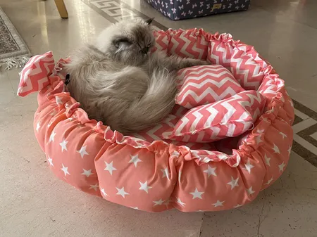 جای خواب سگ و گربه مدل mypet367