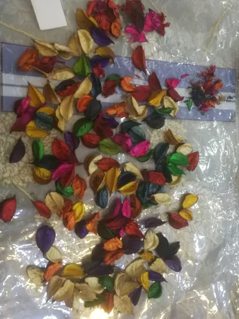 گل خشک مدل Hollands