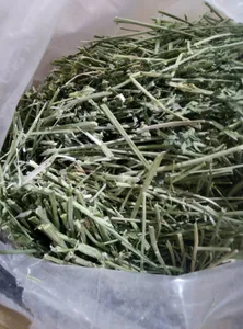 تجریه خرید یونجه جوندگان مدل H.Y01 وزن 2 کیلوگرم