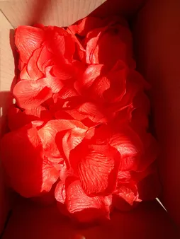 گلبرگ گل مصنوعی شیک و تک مدل DSH 104