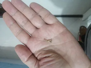 تجریه خرید آویز گردنبند طلا 18 عیار زنانه ماوی گالری مدل مثلث پهن و باریک