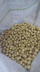 غذای خشک سگ سلبن مدل 1012 Small Junior وزن 2 کیلوگرم