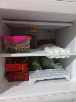 یخچال و فریزر 14 فوت الکترواستیل مدل ES14