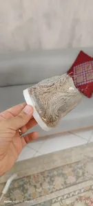 تجریه خرید جاروبرقی 500 وات سایا مدل Merlin