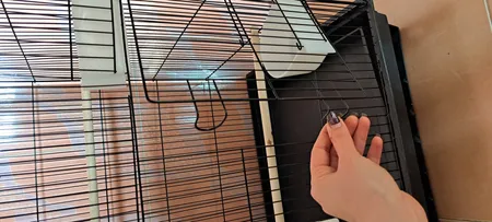 قفس عروس هلندی مدل 1034