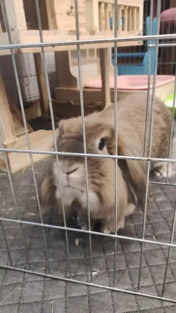 زیر انداز سفری دو نفره مدل  ترنج