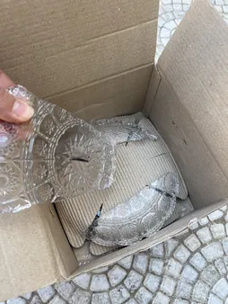 پیش دستی ساکورا مدل 741001W بسته 6 عددی