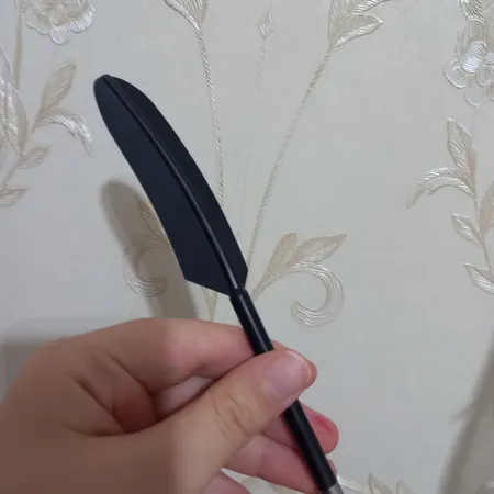 قلم لمسی طرح پر PK-P12