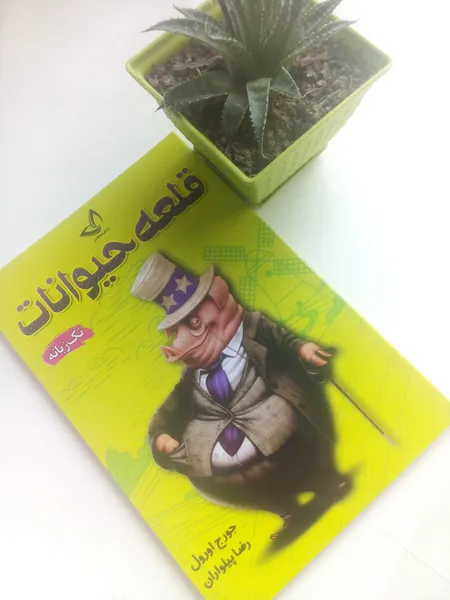 عکس ارسالی خریدار