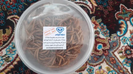 تشویقی مرغ مینا فود فارمز لند مدل میل ورم وزن 50 گرم