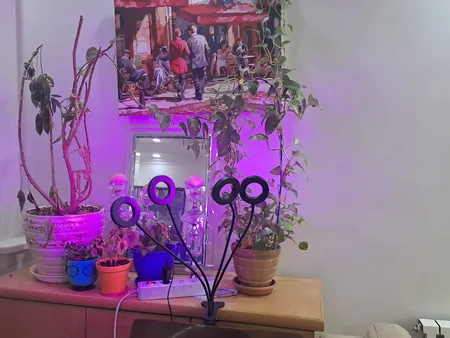 چراغ رشد گیاه 40 وات مدل Quad Circle