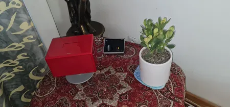 گیاه طبیعی یشم مدل F-06