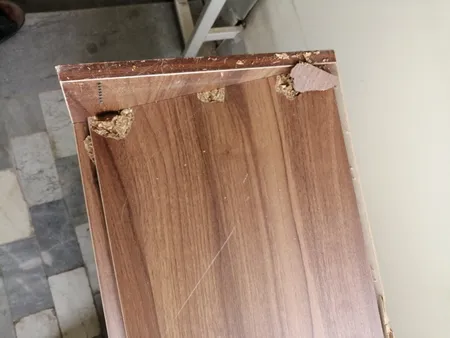 جاکفشی مدل الیت