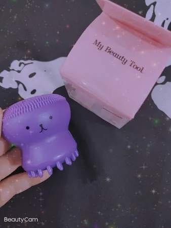 برس پاک‌سازی مدل B 0101