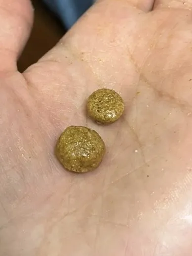 غذای خشک سگ سلبن مدل 1002 Small Adult وزن 2 کیلوگرم