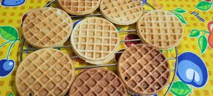 تجریه خرید وافل ساز سانیز مدل مینی سانی