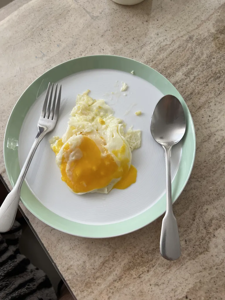 بشقاب غذاخوری زی مدل فرم اس کد  24 پاستل درجه عالی بسته شش عددی